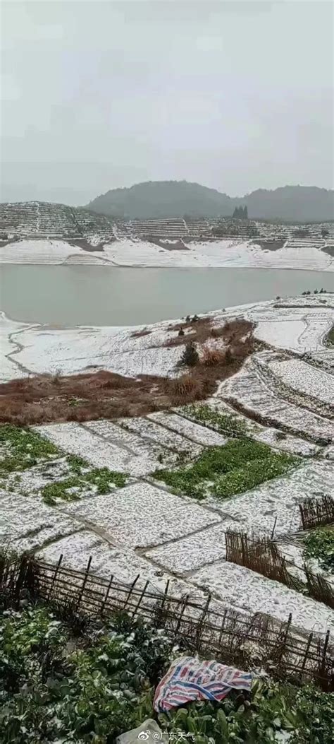 广州下雪|真的实现了！广东下雪了！